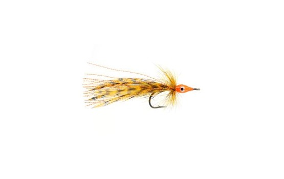 Tarpon Master Orange