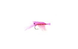 Ultra Shrimp Pink