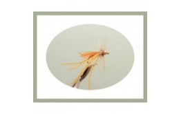 Goldhead Orange Flexi Daddy