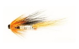 Ally's Cascade Shrimp   Copper Tube Fly