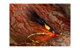 Gold Stinchair Stoat