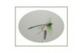 Green Dragon Fly