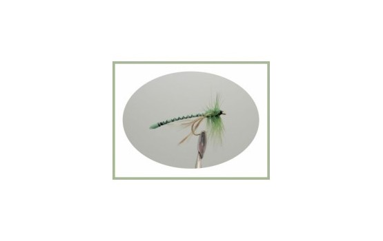 Green Dragon Fly