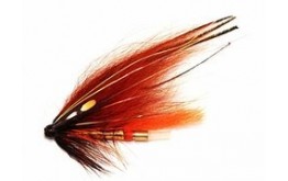 Phatagorva   Copper Tube Fly