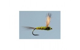 Green Drake Comparadun