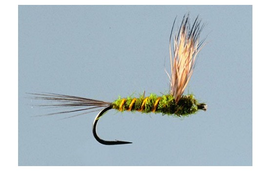 Green Drake Comparadun