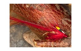 Red Bladenoch Shrimp