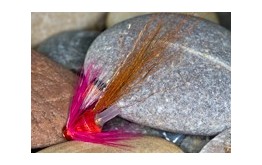 Tilbouries Shrimp BB