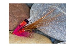 Tilbouries Shrimp SG