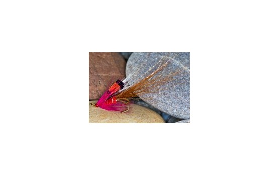 Tilbouries Shrimp SG