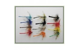 12 Coloured Dragon Fly Damsel
