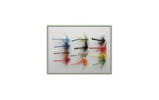 12 Coloured Dragon Fly Damsel