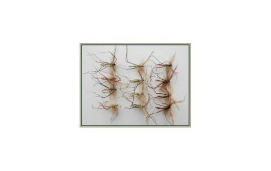 12 Coloured Tip Daddy Long Legs