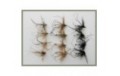 12 Daddy Long Legs   Mixed Black & Natural
