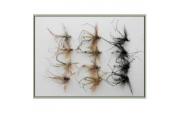 12 Daddy Long Legs   Mixed Black & Natural