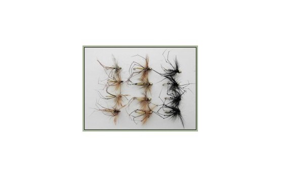 12 Daddy Long Legs   Mixed Black & Natural