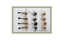 12 Daddy long legs Black and Natural