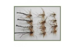 12 Daddy Long Legs Detached Normal &Goldhead