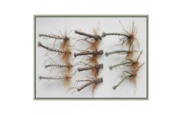 12 Daddys Foam Natural Olive