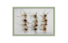 12 Daddys Standard and Goldhead