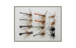 12 Detached and Standard Daddy Mixed Collection