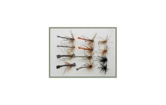 12 Detached and Standard Daddy Mixed Collection