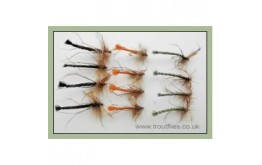 12 Detached Daddy Three Colours