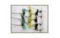 12 Drake Mayflies