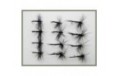 12 Dry Flies   Black Spider and Black Gnat