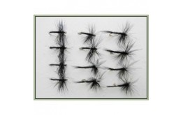 12 Dry Flies   Black Spider and Black Gnat