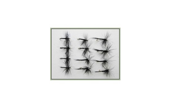 12 Dry Flies   Black Spider and Black Gnat
