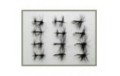 12 Dry Flies   Black Spider and Knotted Midge