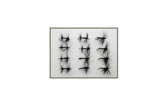 12 Dry Flies   Black Spider and Knotted Midge