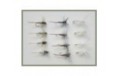 12 Dry Flies   Duster Iron Blue & Moth