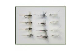 12 Dry Flies   Duster Iron Blue & Moth