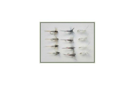 12 Dry Flies   Duster Iron Blue & Moth