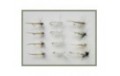12 Dry Flies   Duster Moth &Tupps