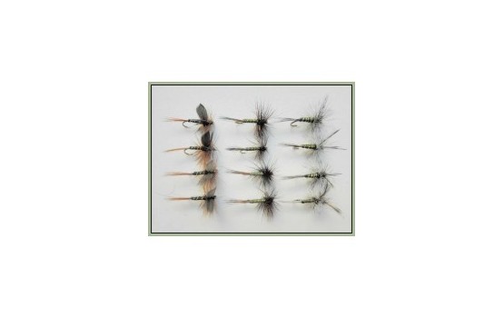 12 Dry Flies   Greenwell Glory Three Varieties