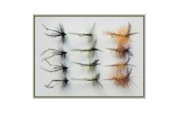 12 Dry Flies   Hawthorn Whickhams Dark Olive