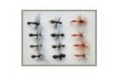 12 Dry Flies   Mixed Ants