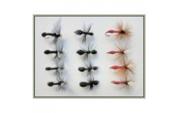 12 Dry Flies   Mixed Ants