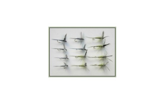 12 Dry Flies   Olive and Blue Dun