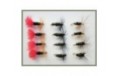 12 Dry Flies   Red Tag Black & Peacock & Coachman