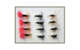 12 Dry Flies   Red Tag Black & Peacock & Coachman