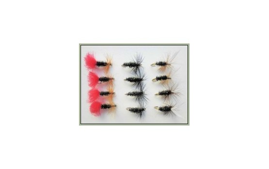 12 Dry Flies   Red Tag Black & Peacock & Coachman