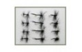 12 Dry Flies   Spider Gnat & Knotted Midge