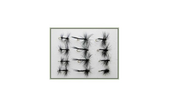 12 Dry Flies   Spider Gnat & Knotted Midge