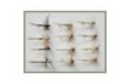 12 Dry Flies  Tupps Kites Imp Ginger Quill