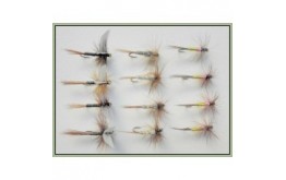 12 Dry Flies  Tupps Kites Imp Ginger Quill