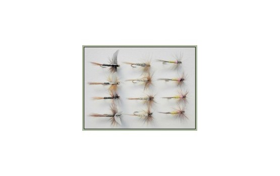 12 Dry Flies  Tupps Kites Imp Ginger Quill